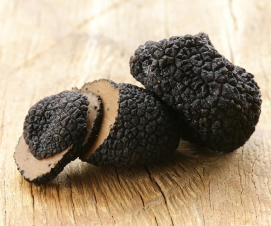 Rare Black Perigord Truffle discovered in the Western Cape photo