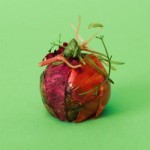 Ikea’s Lab-Grown 3D Printed Meatballs photo
