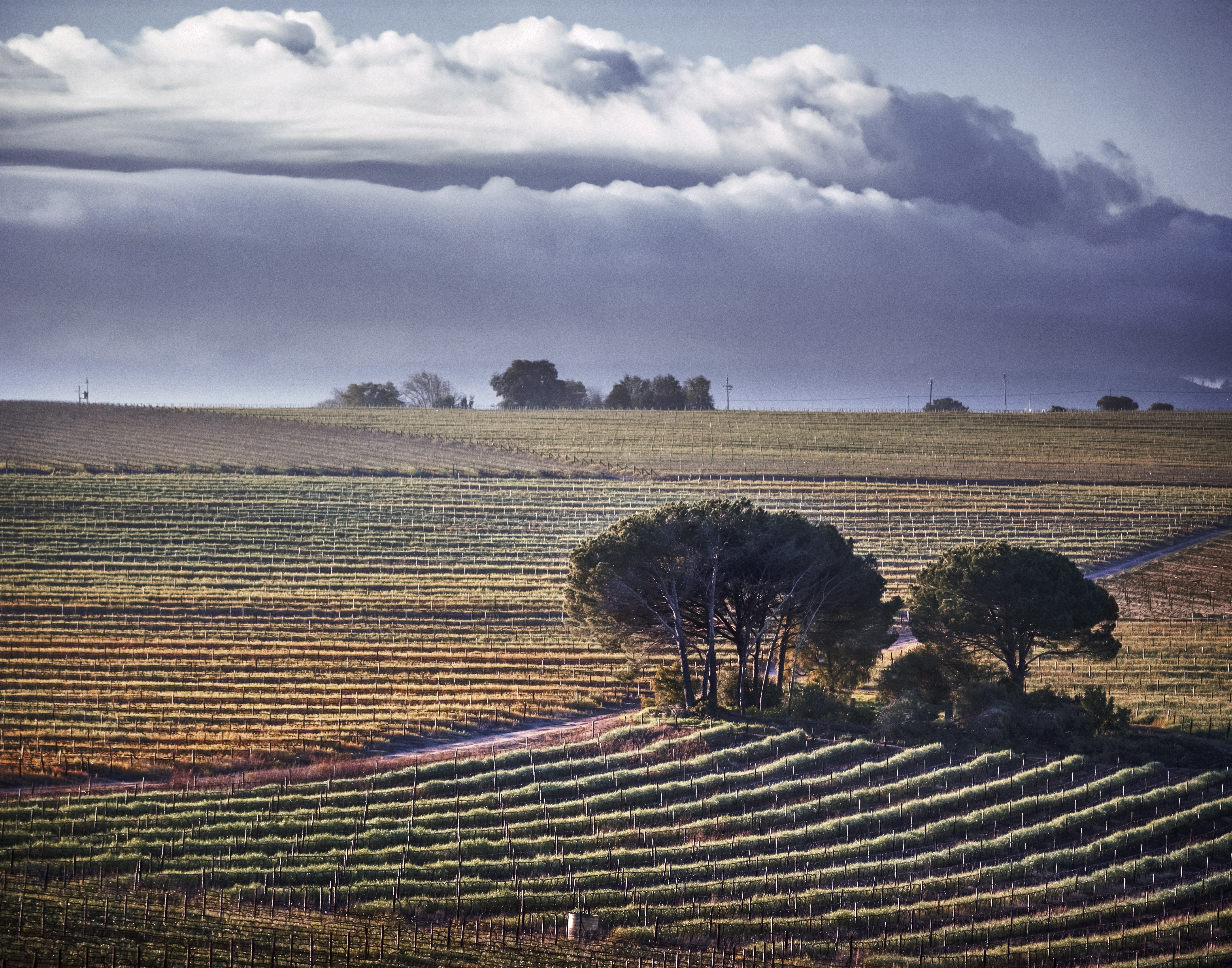 How the birthplace of apartheid became a wine wonderland photo
