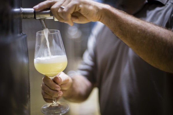 Taste the Terroir – A Celebration of Sauvignon Blanc photo