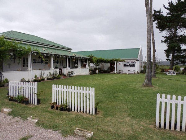 Pop in at the Boplaas Tasting room on the Garden Route photo