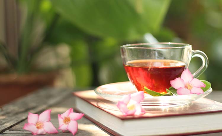 5 Kinds of Tea You Should Drink for Optimal Health photo