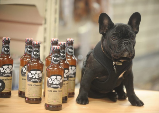 Brewery creates Bottom Sniffer craft beer for dogs photo