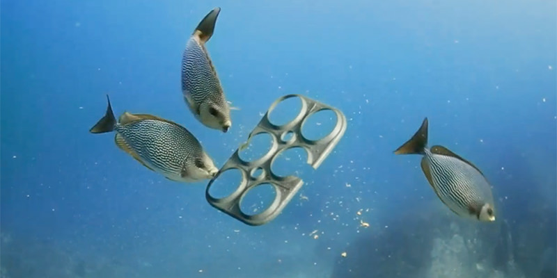 A small beer company developes edible beer rings to protect marine life photo