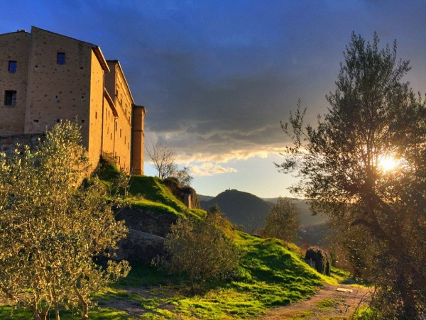 The World`s First Wine and Yoga retreat opens in Tuscany photo
