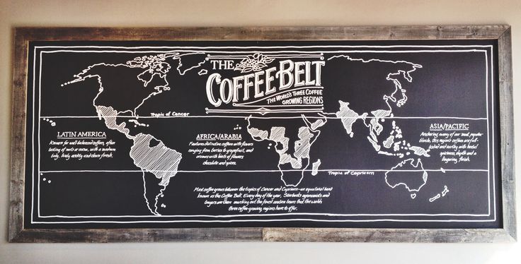 All you need to know about the Coffee Belt photo