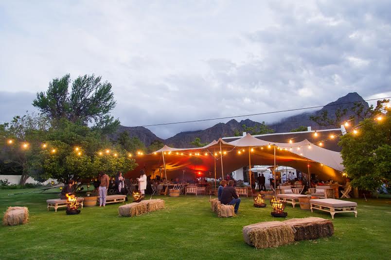 An evening of elegance at this year’s harvest-inspired Protea Party photo