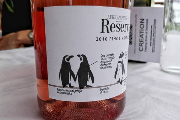 Drinking Wine for a Good Cause: Creation African Penguin Reserve Wine photo