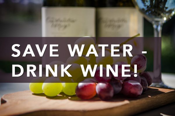Save water, drink wine! photo