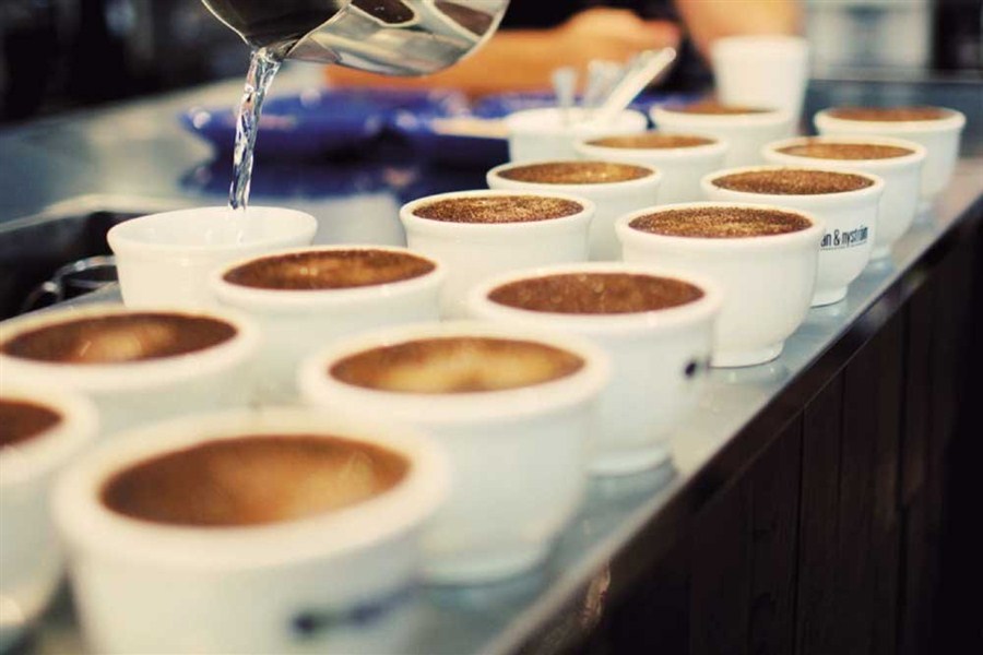 Cuppers Strive For Perfect Coffee Taste photo