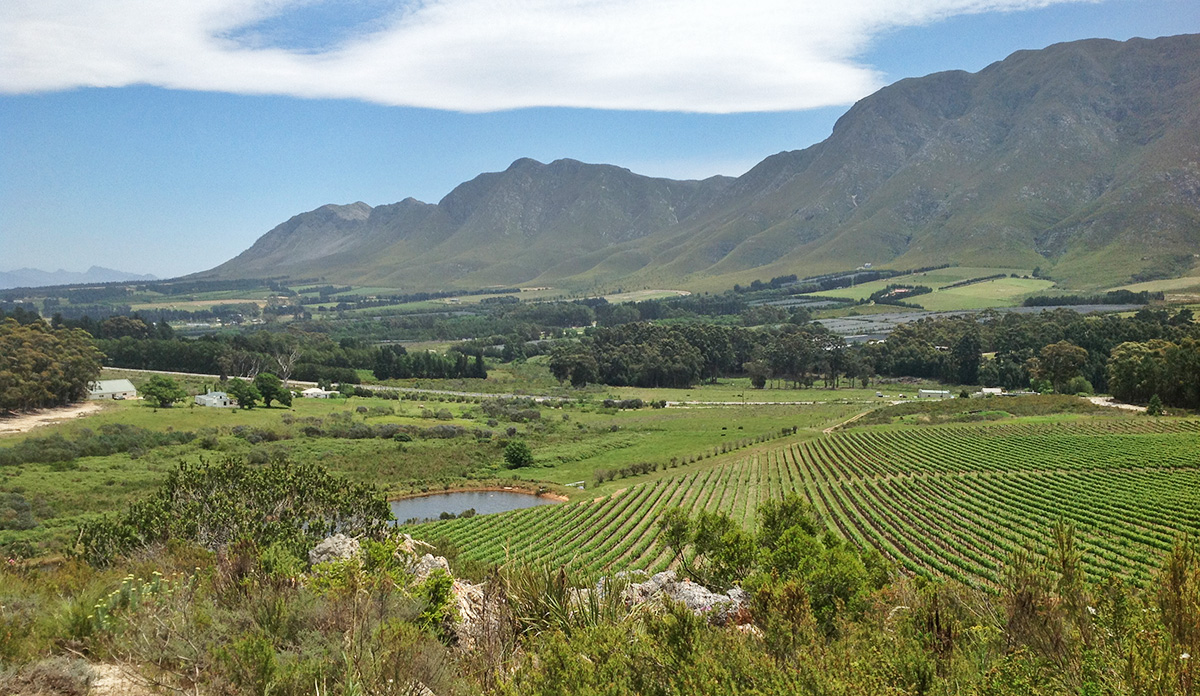 10 Wine Routes Near Cape Town You Don’t Already Know About photo