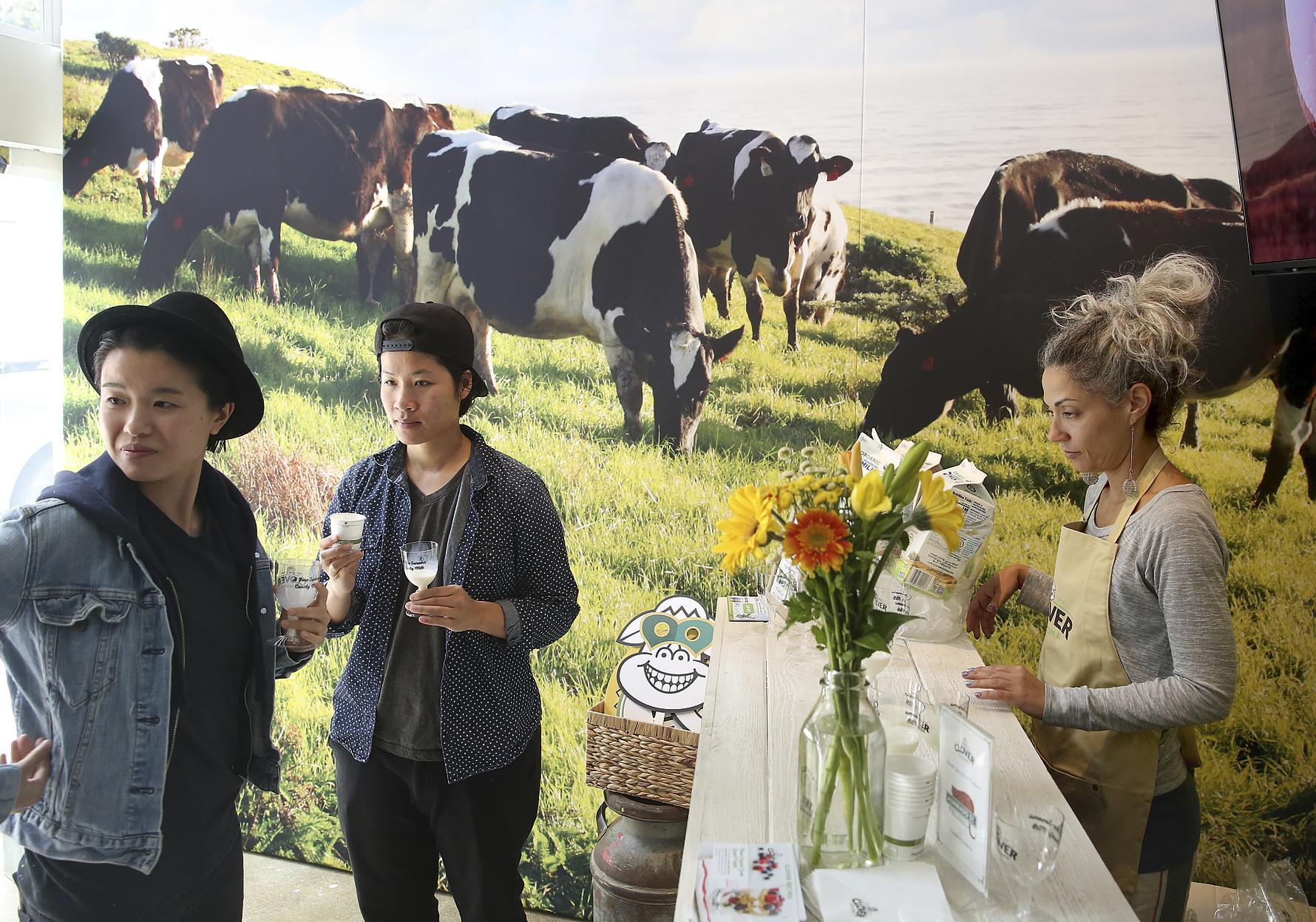 Clover Sonoma Milks The Pop-up Trend In Hayes Valley photo