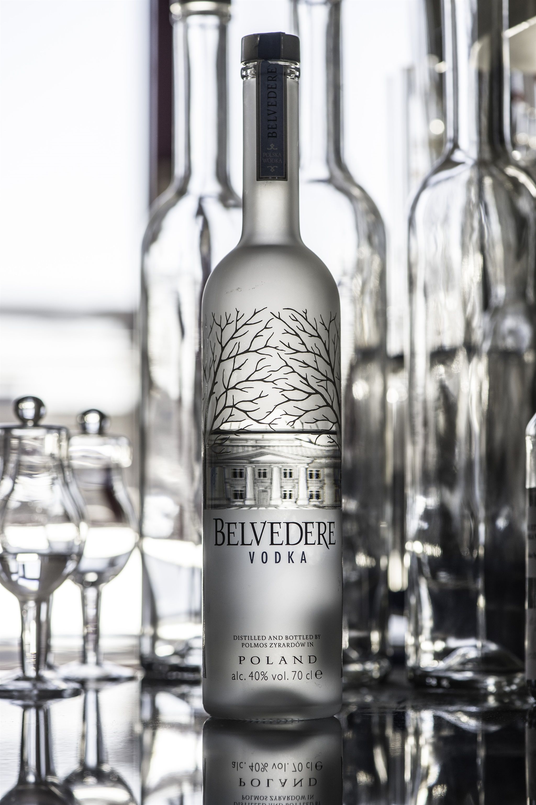 Belvedere Vodka Wins Gold At International Csr Awards photo