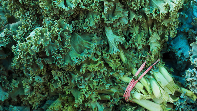 World’s Healthiest Eating Competition? Georgia Man Wins Kale-eating Contest photo