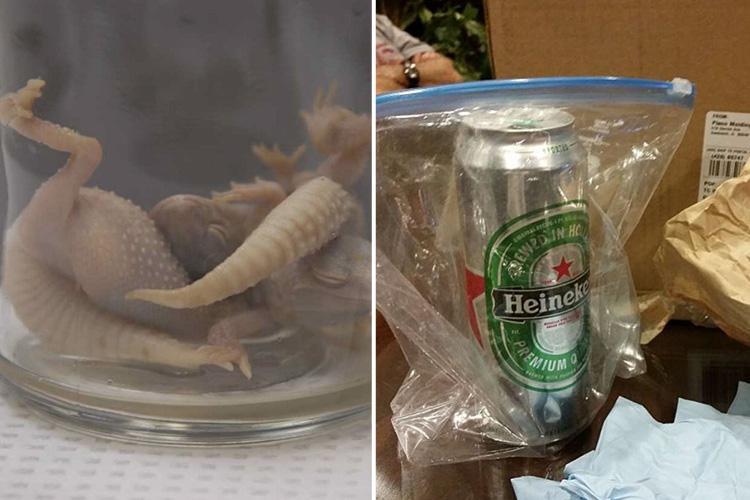 Bloke Sues Heineken After Finding Two Lizards In Can Of Beer photo