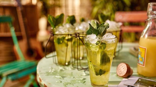 Spruce Up With A Monkey Mojito This Spring photo