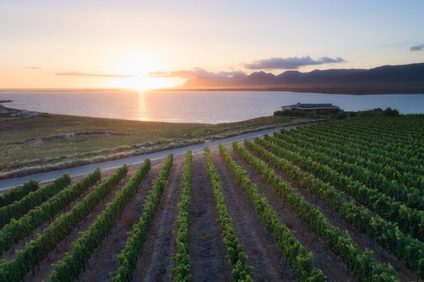 Indulge in a unique wine experience at Benguela Cove Lagoon Estate photo