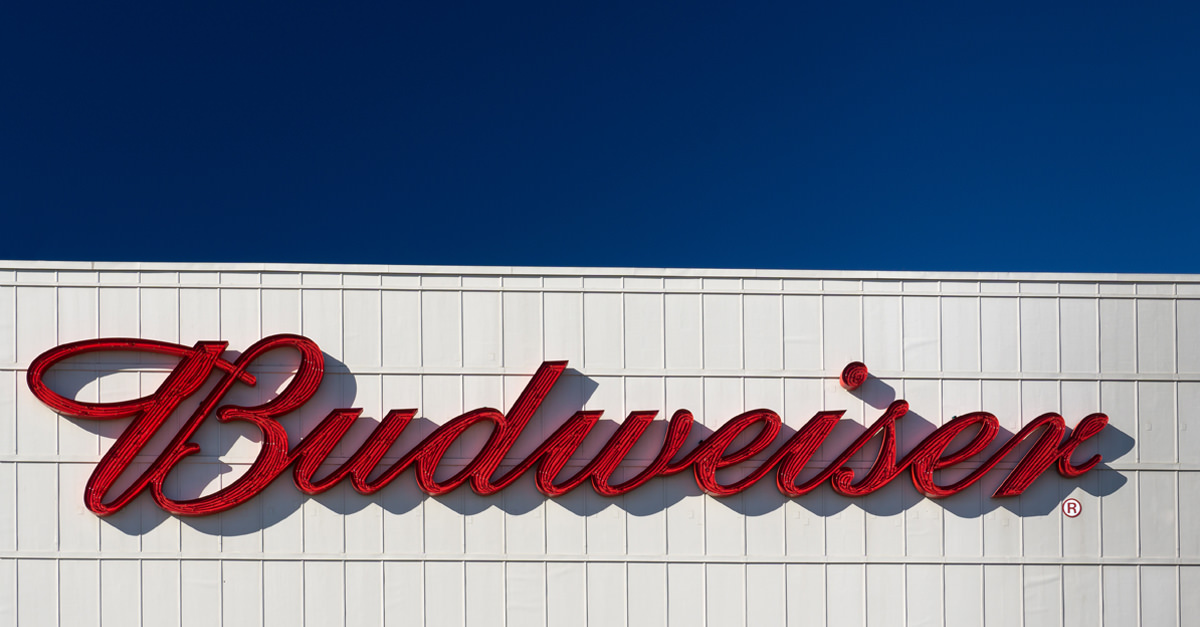 10 Things You Should Know About Budweiser photo