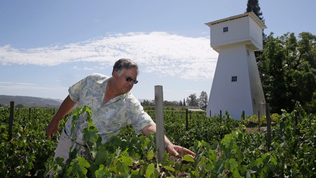 Don’t Cancel Your Trip To California Wine Country, Officials Appeal photo