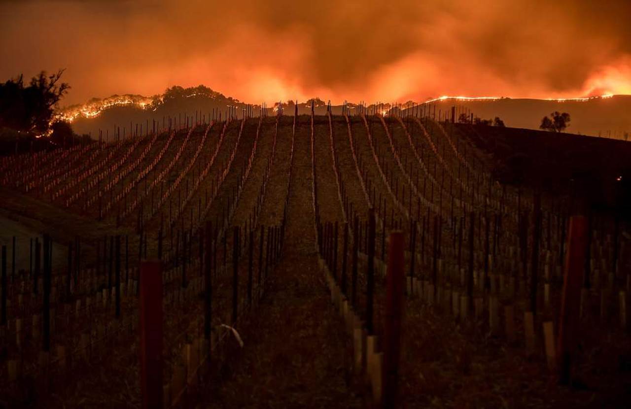 Ten Dead And Wineries Destroyed As Wildfires Ravage California Wine Country photo