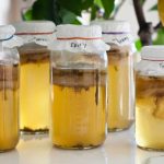 Reduce bloating by swapping booze for kombucha photo