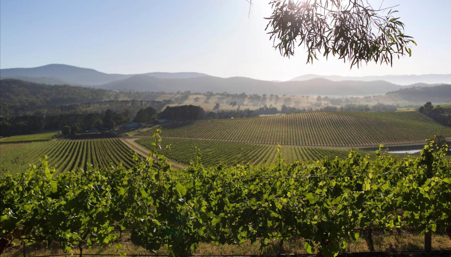 Go Beyond The Cellar Door And Discover Australia’s Finest Pinot Noir photo