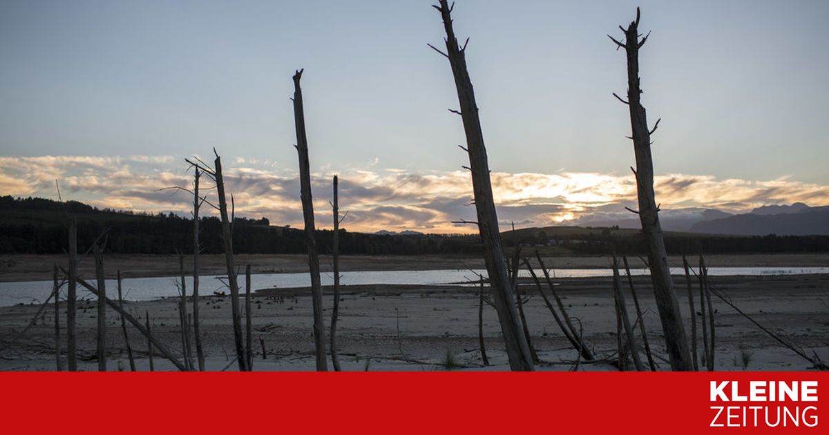 Kapstadt: Dürre: Winzer Wollen Für Regen Beten photo