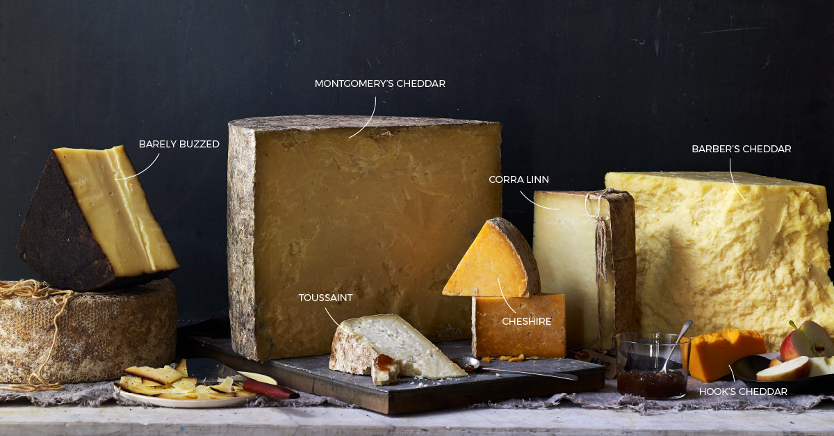 The 10 Cheeses You Need To Know To Understand All Cheese Ever photo