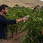 Chris Hemsworth blends his own shiraz at Jacob`s Creek winery in Barossa Valley photo