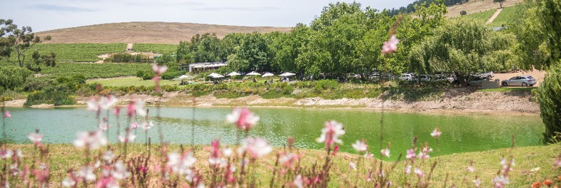 Jordan Wine Estate is water-wise photo