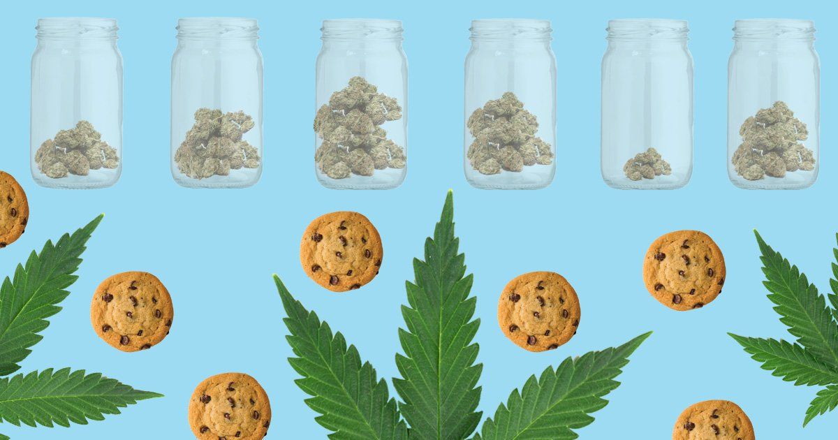 Colorado Girl Scouts Can Now Sell Their Cookies Outside Weed Dispensaries photo