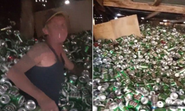 Victoria Bitter Fan Collects 30,000 Beers In His Tin Shed photo