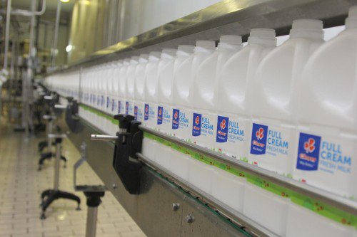 Clover’s Drive Towards More Than Just Milk photo