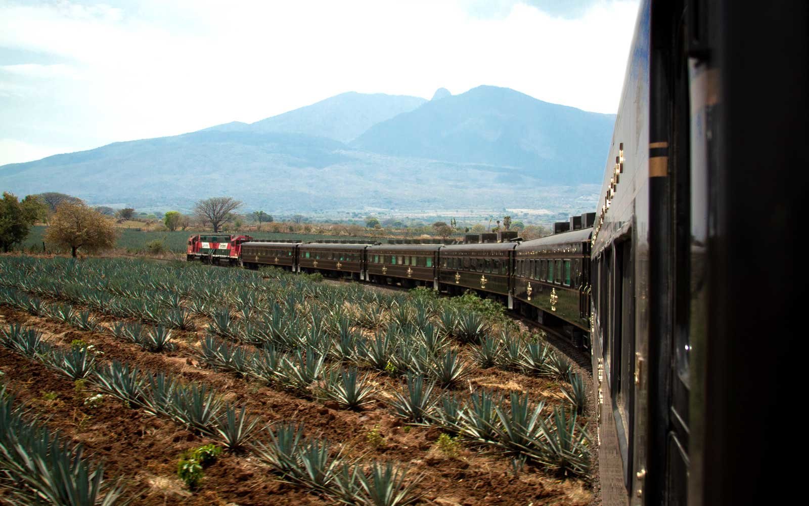 You Can Take A Tequila Train To Mexico’s Most Magical Town photo