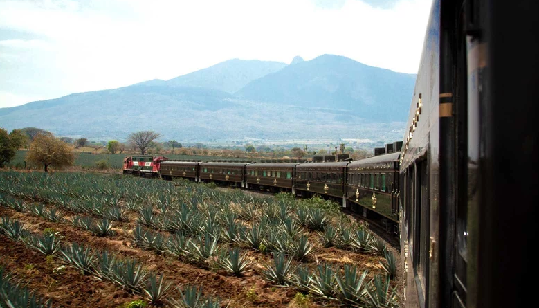 You Can Take a Tequila Train to Mexico’s Most Magical Town photo