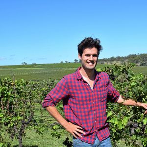 How Drones Are Helping The South Burnett Grape Harvest photo