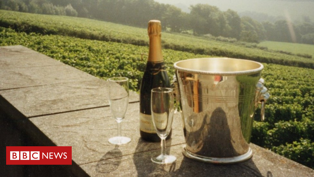 Uk Winemakers Toast Record Year photo