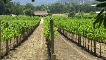 Napa, Sonoma Wineries Are Pouring As California Wildfire Memories Fade photo