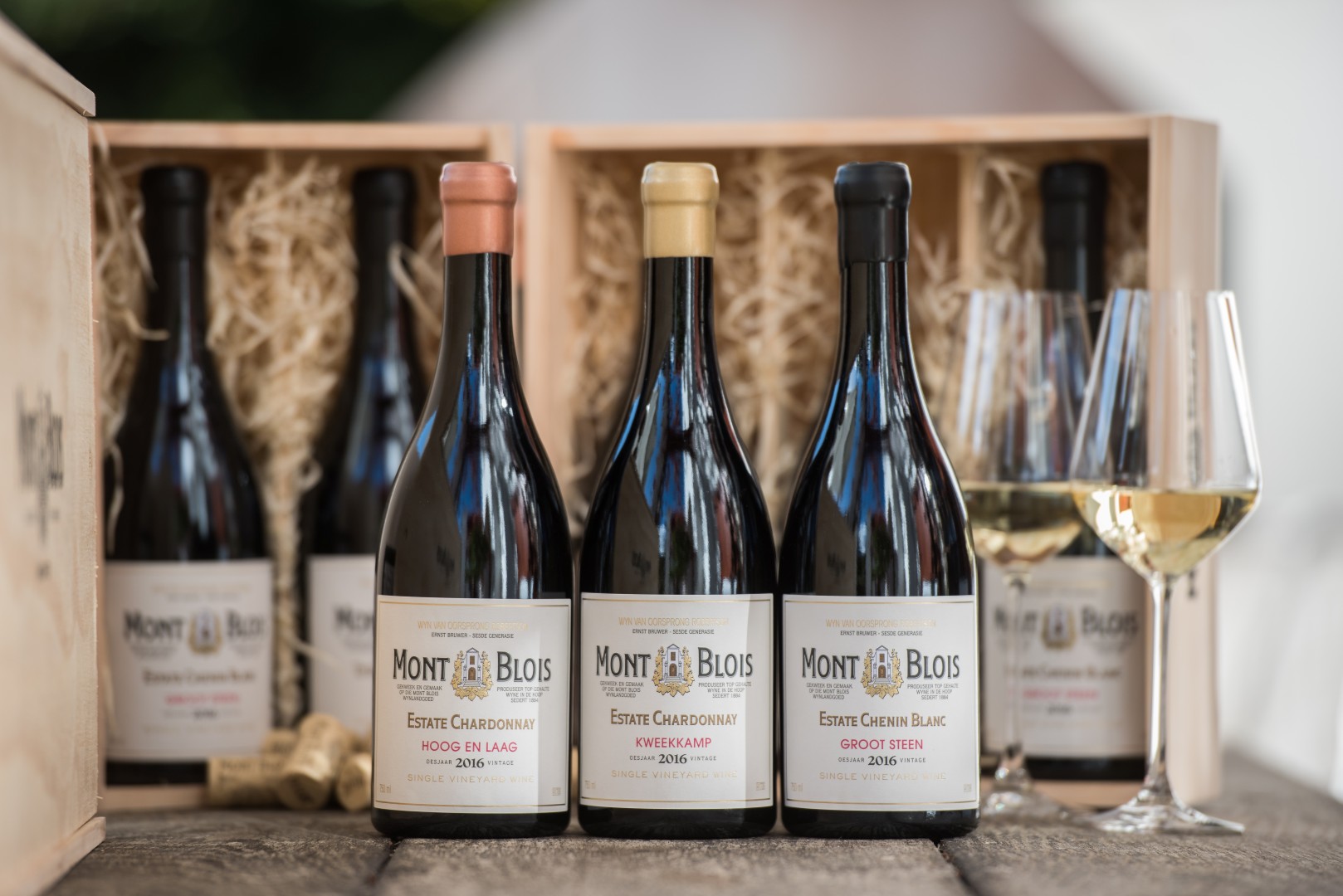 A Flight Of Whites On The Stoep At Mont Blois Wine Farm, Robertson photo