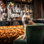 London bar debuts a cocktail menu for dogs in honour of National Pet Month photo
