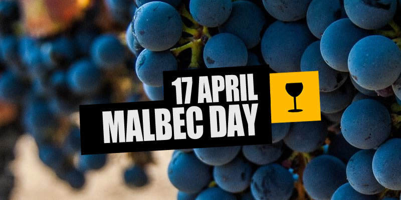 Celebrate World Malbec Day With These 22 Top South African Wines photo