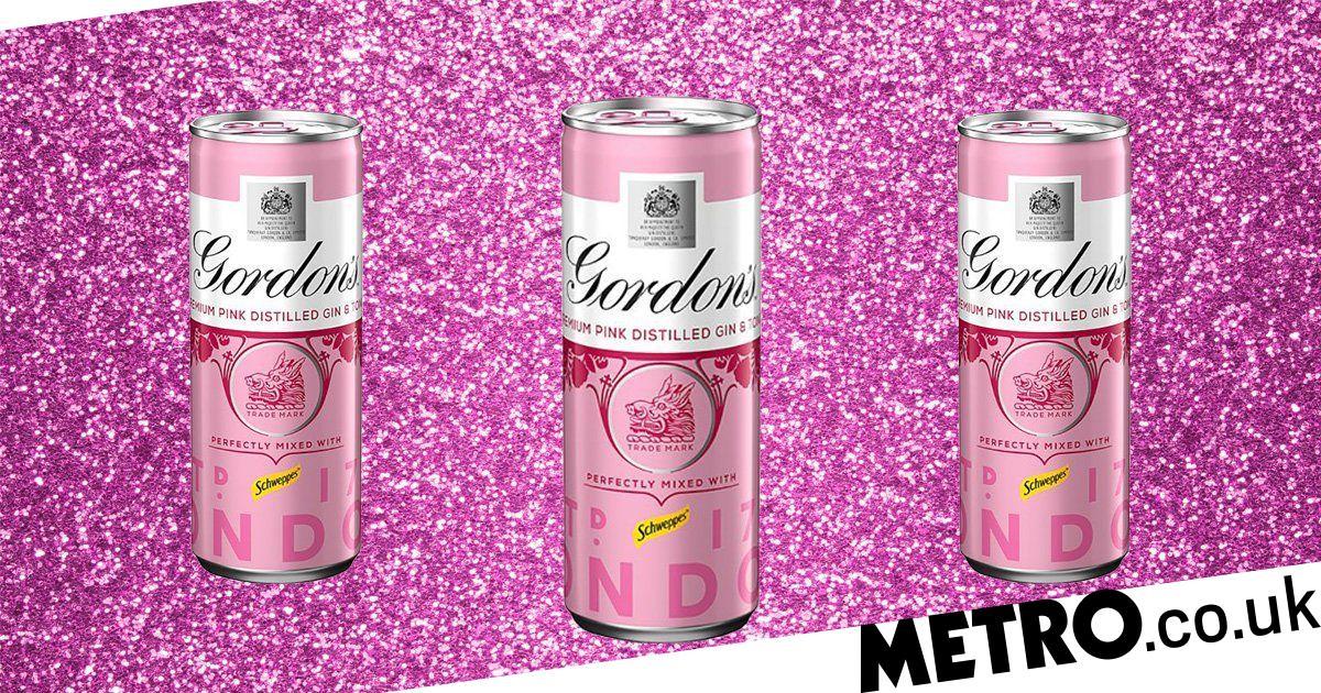 Tesco Is Selling Cans Of Gordon’s Pink Gin For £1.80 photo