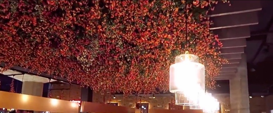 Dine Under Cherry Blossoms At This Newly Reopened South Bank Restaurant photo