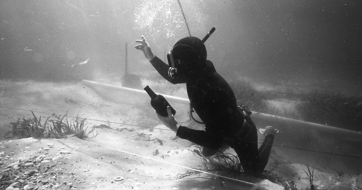 World’s Oldest Surviving Beer Found In A Shipwreck — And It’s Been Revived photo