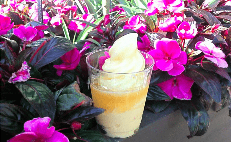 Where Can I Find Dole Whip With Rum? photo