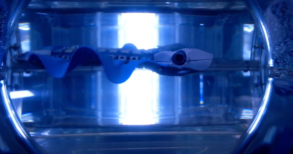 This Robofish Could Be The Future Of Underwater Data Collection photo