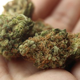 Canada Passes Recreational Cannabis Bill photo