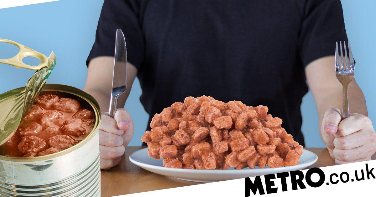 Dog Food Company Makes Human Meals Out Of Their Product photo