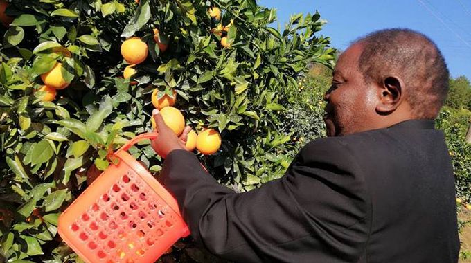 Schweppes To Venture In Oranges Production photo