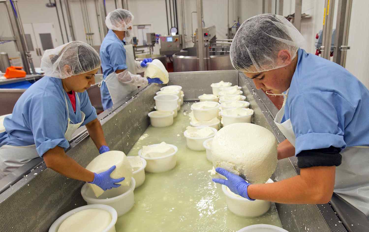 Point Reyes Cheesemakers Poised For Growth In Petaluma photo